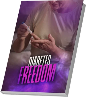 Diabetes Freedom bonus guide cover